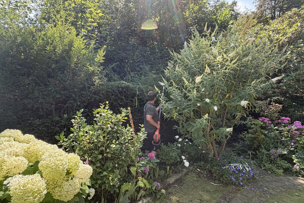 Hausgarten während der Pflege