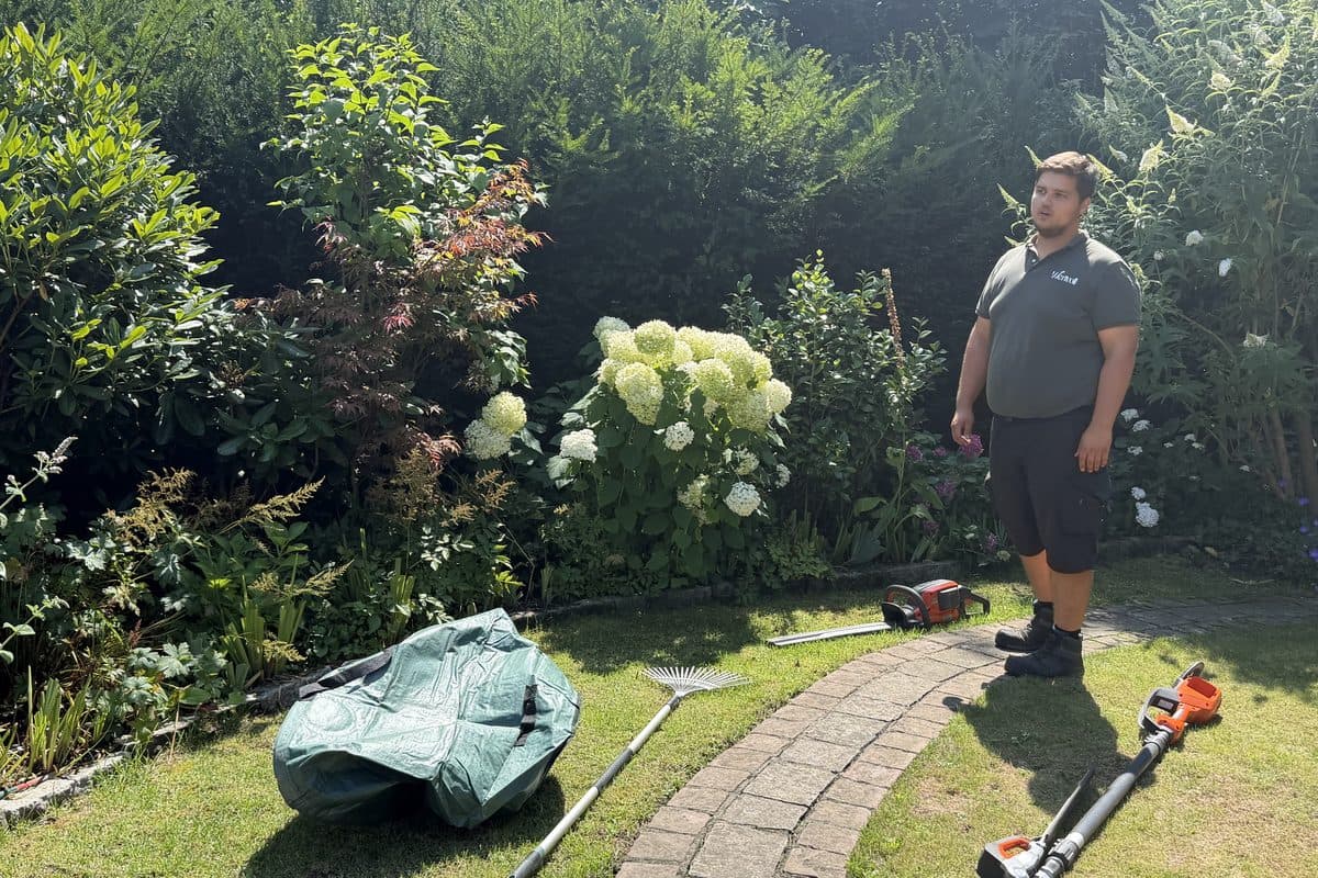 Garten mit Hortensien nach dem Schnitt