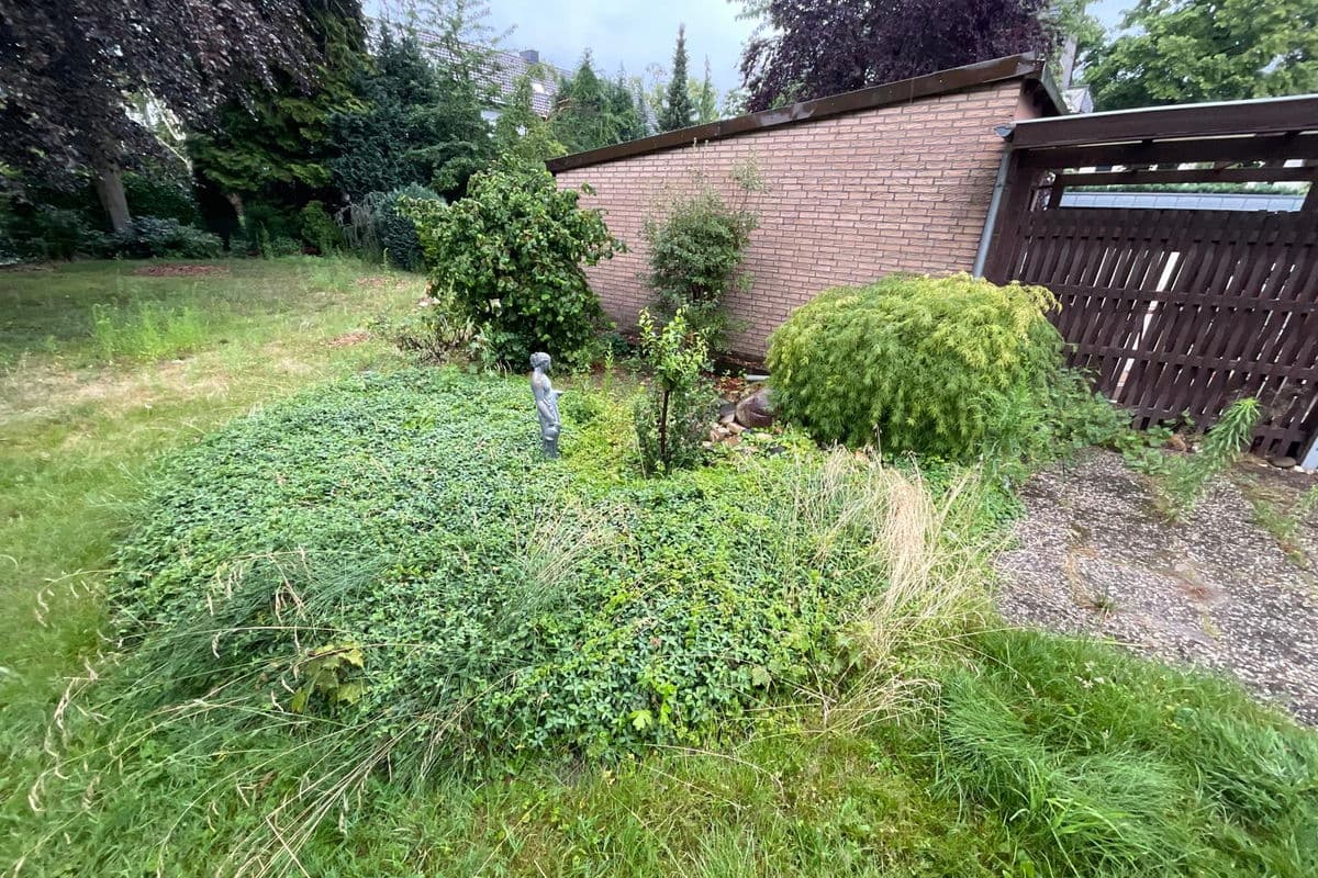 Zugewachsene Fläche vor dem Einsatz