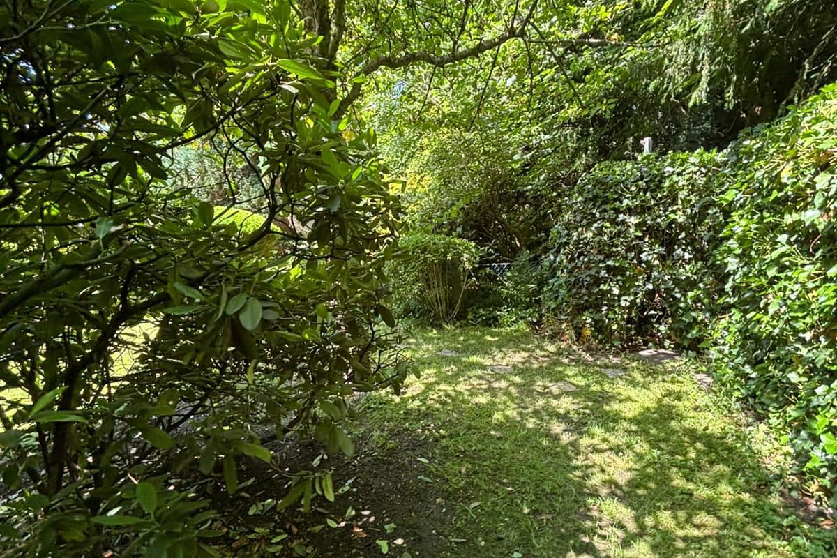 Garten im Schatten alter Bäume