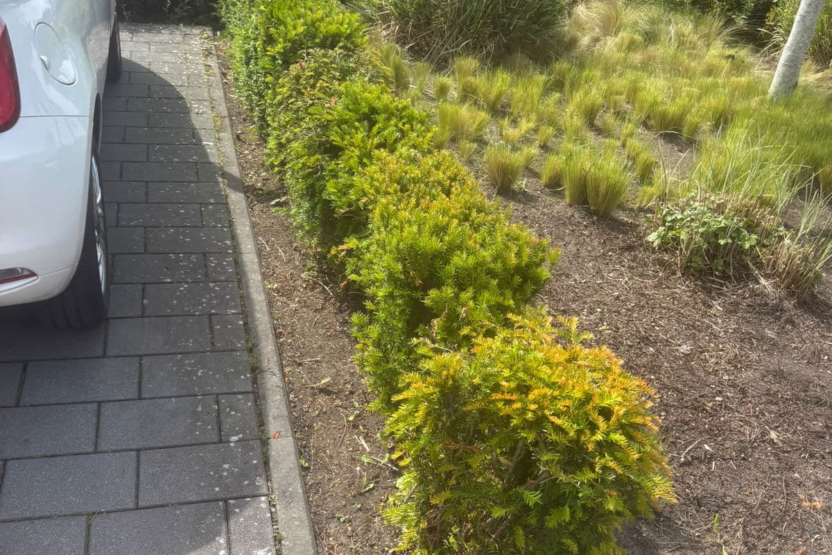 Beet an der Stellplatzreihe