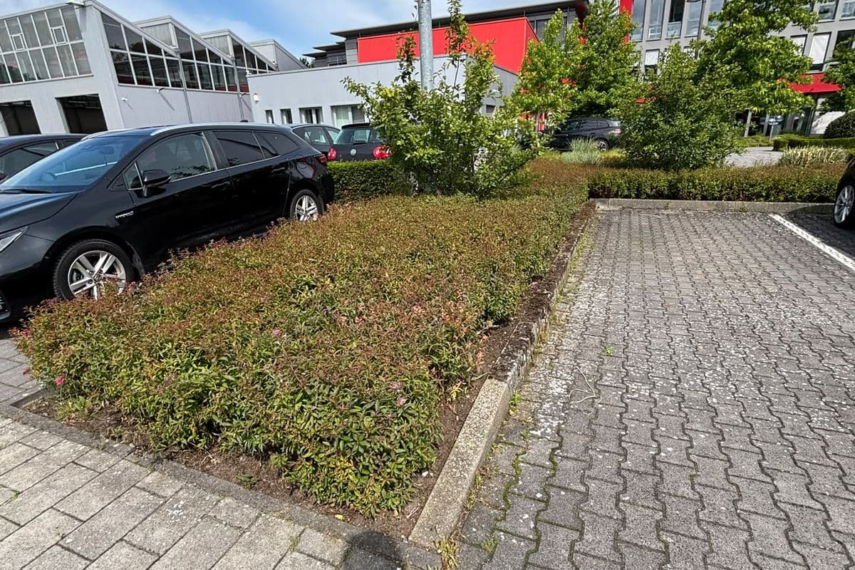 Bepflanzung am Firmeneingang