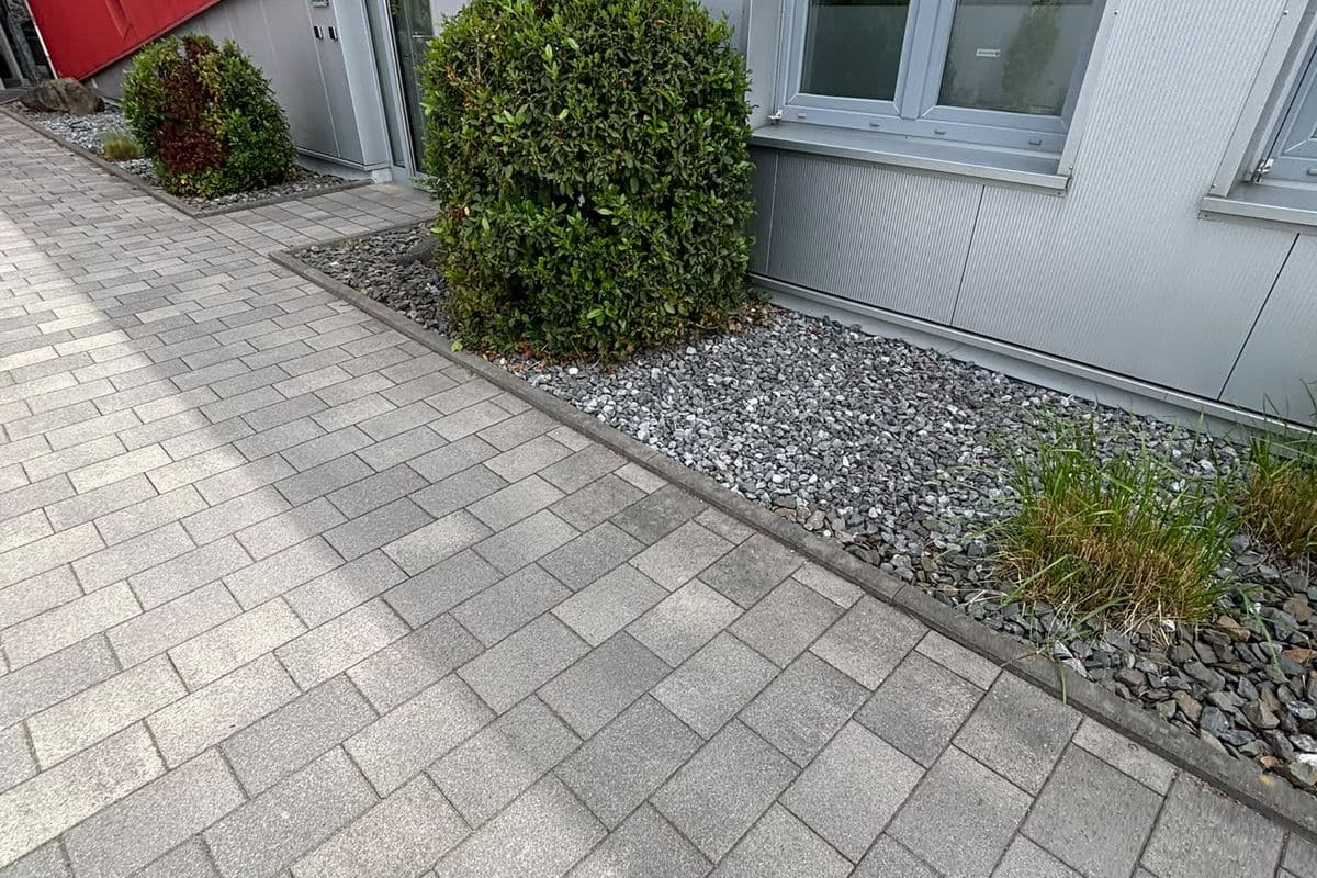 Sträucher an der Fassade