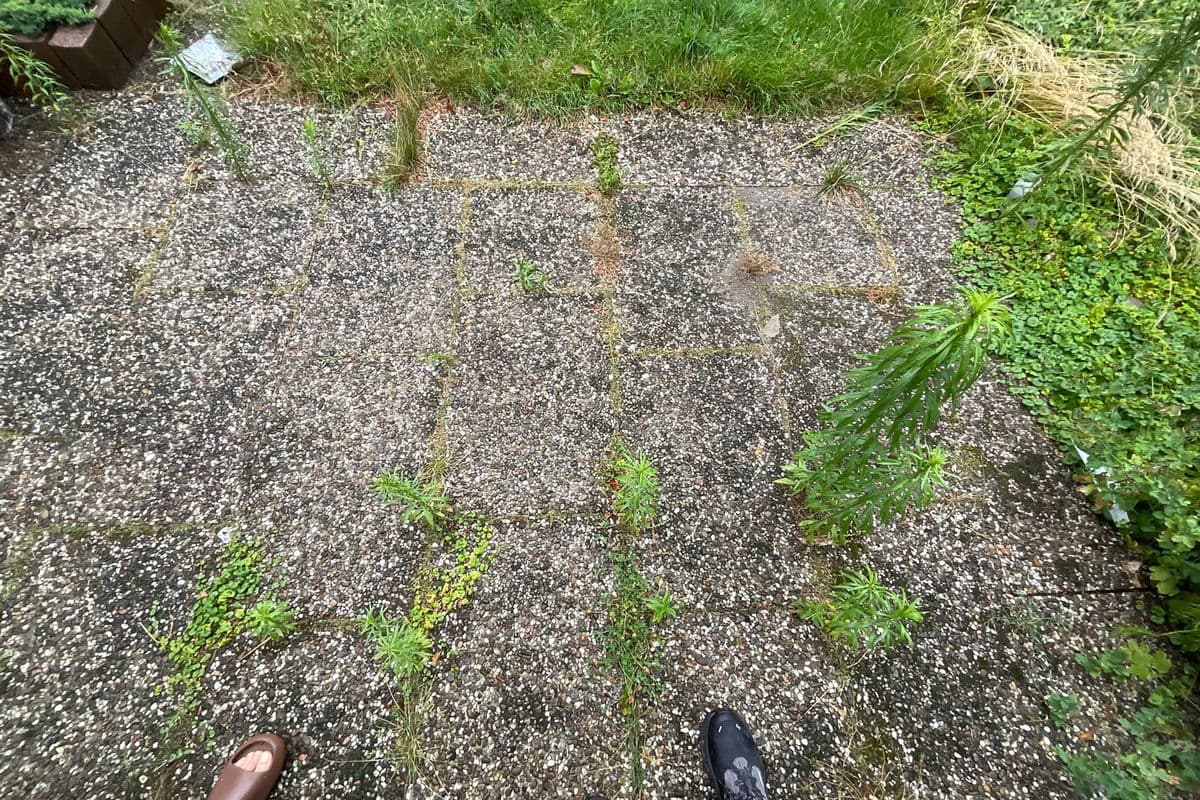 Pflasterfläche mit Fugenbewuchs