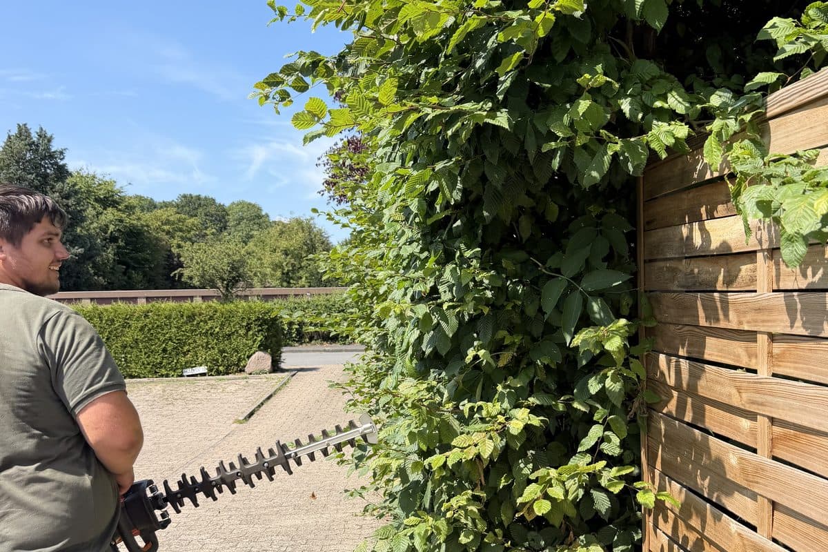 Schnitt an der Zaunecke