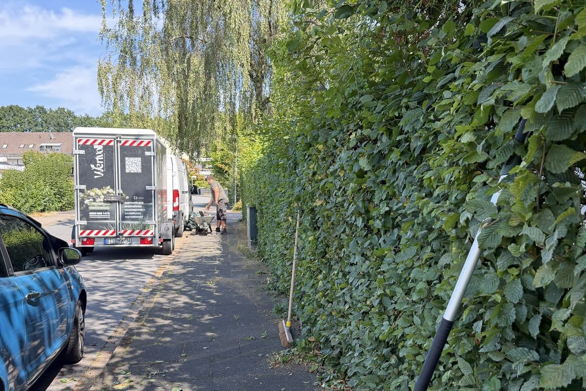 Teleskopschneider an der hohen Hecke