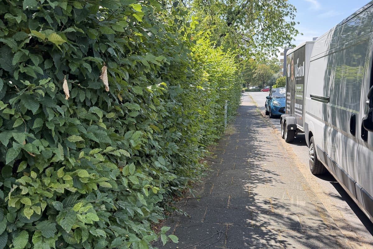 Hecke und Fahrzeug am Einsatzort