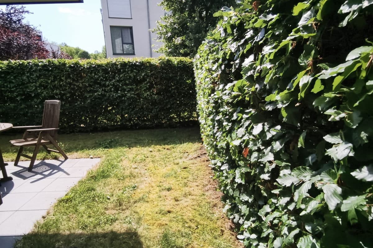 Hecke am Fußweg der Wohnanlage