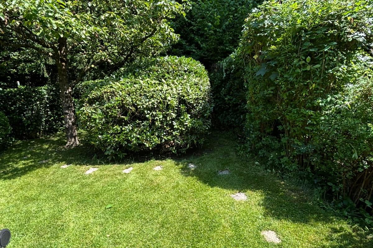 Rasen mit Formschnitt-Sträuchern