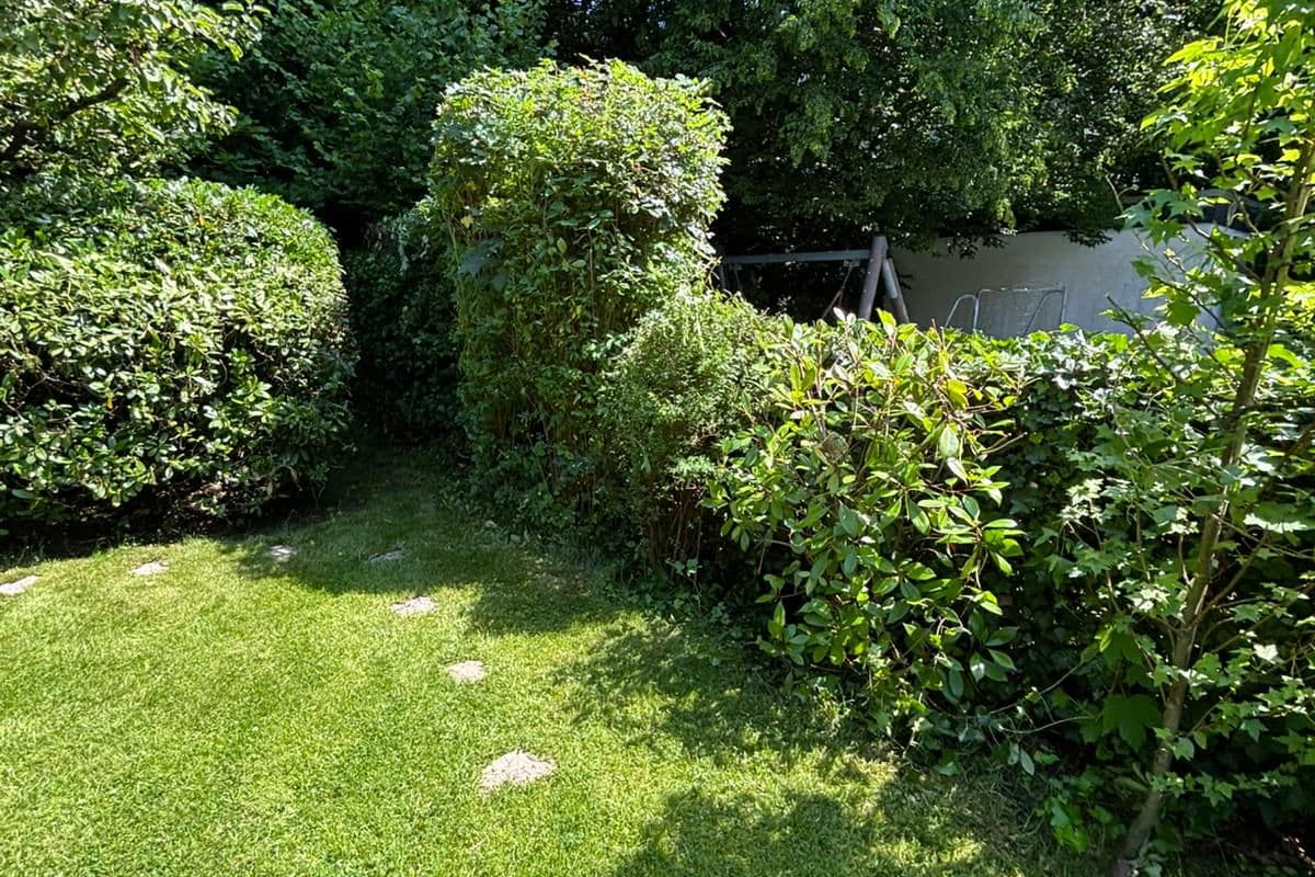 Gemähte Fläche im Hausgarten