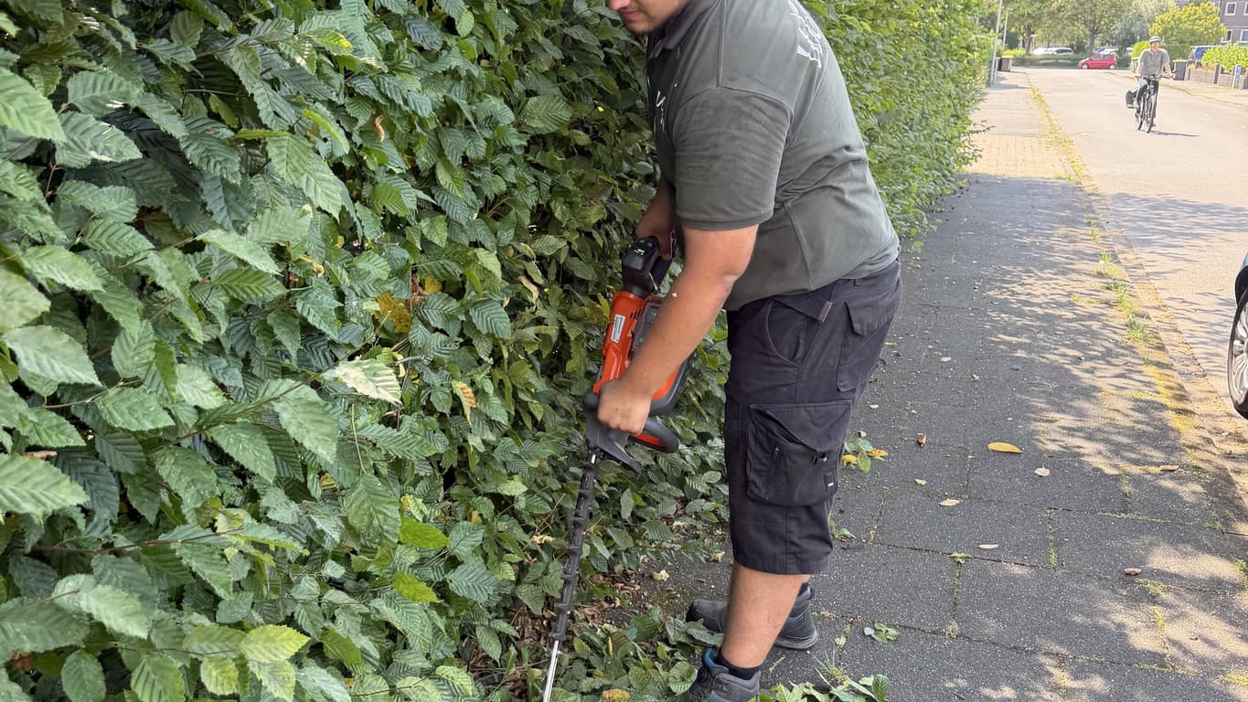 Heckenpflege Hausverwaltung Steinhagen - Zuverlässig