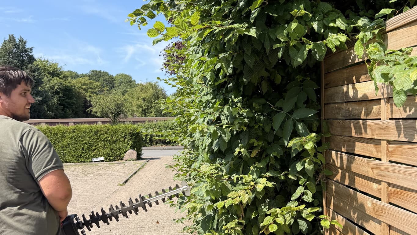 Hecke in Form bringen Bielefeld - Verschiedene Formen