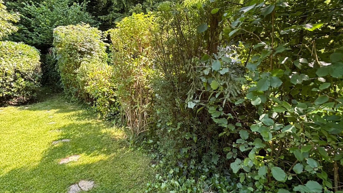 Garten Laub Service Gütersloh - Laub sammeln vom Rasen