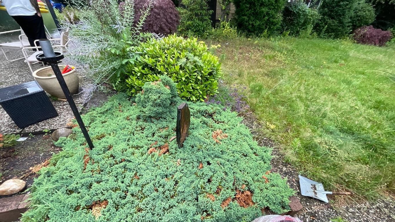 Umweltgerechte Laubentsorgung Schloß Holte-Stukenbrock