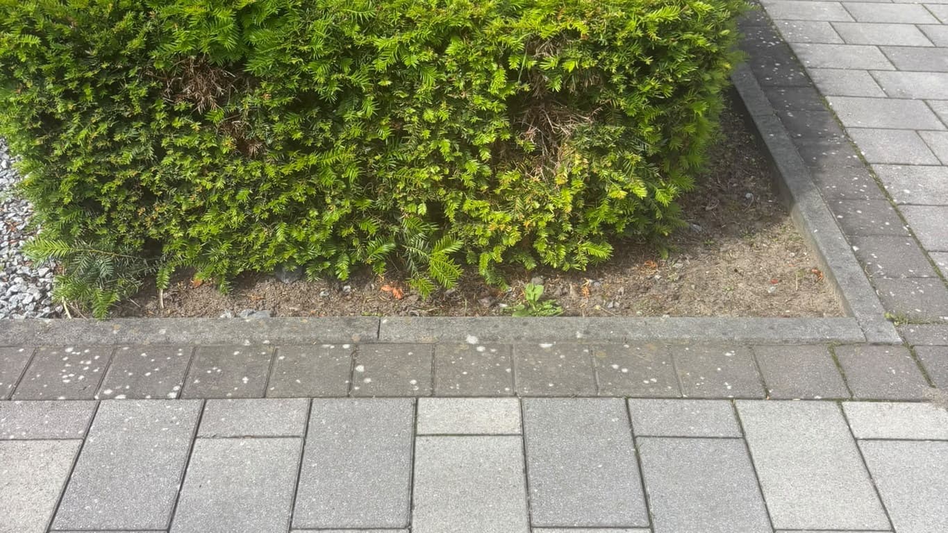 Günstiger Winterdienst Bielefeld