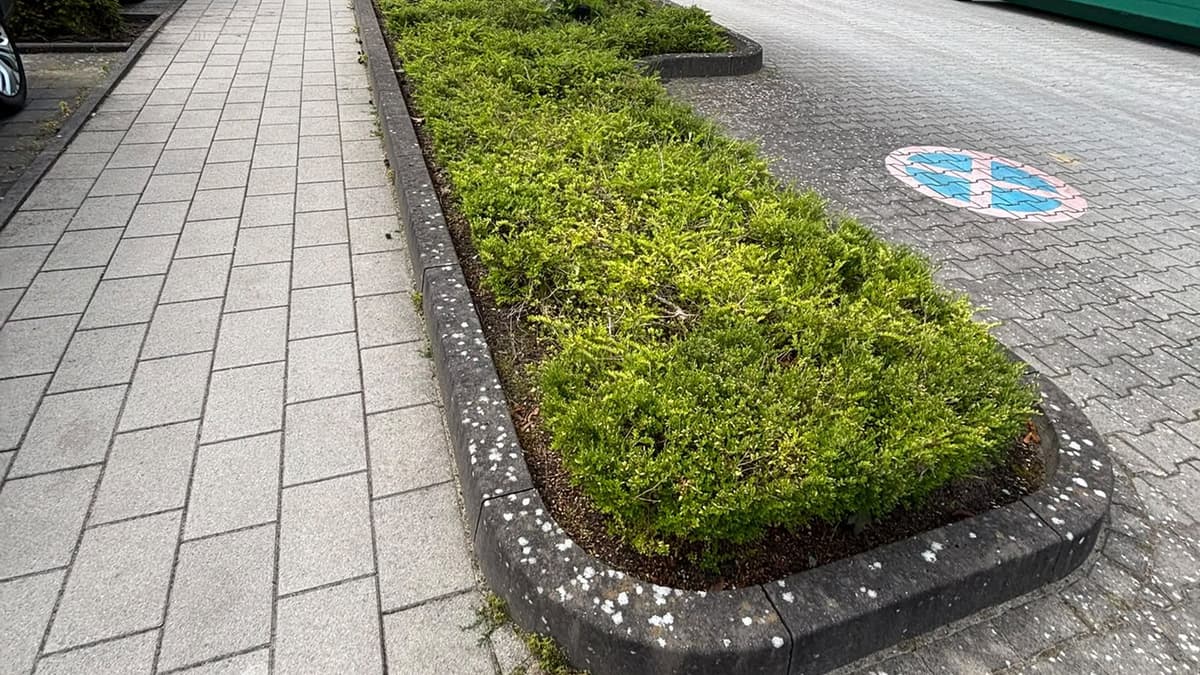 Parkplatzfläche, die wir im Winter betreuen